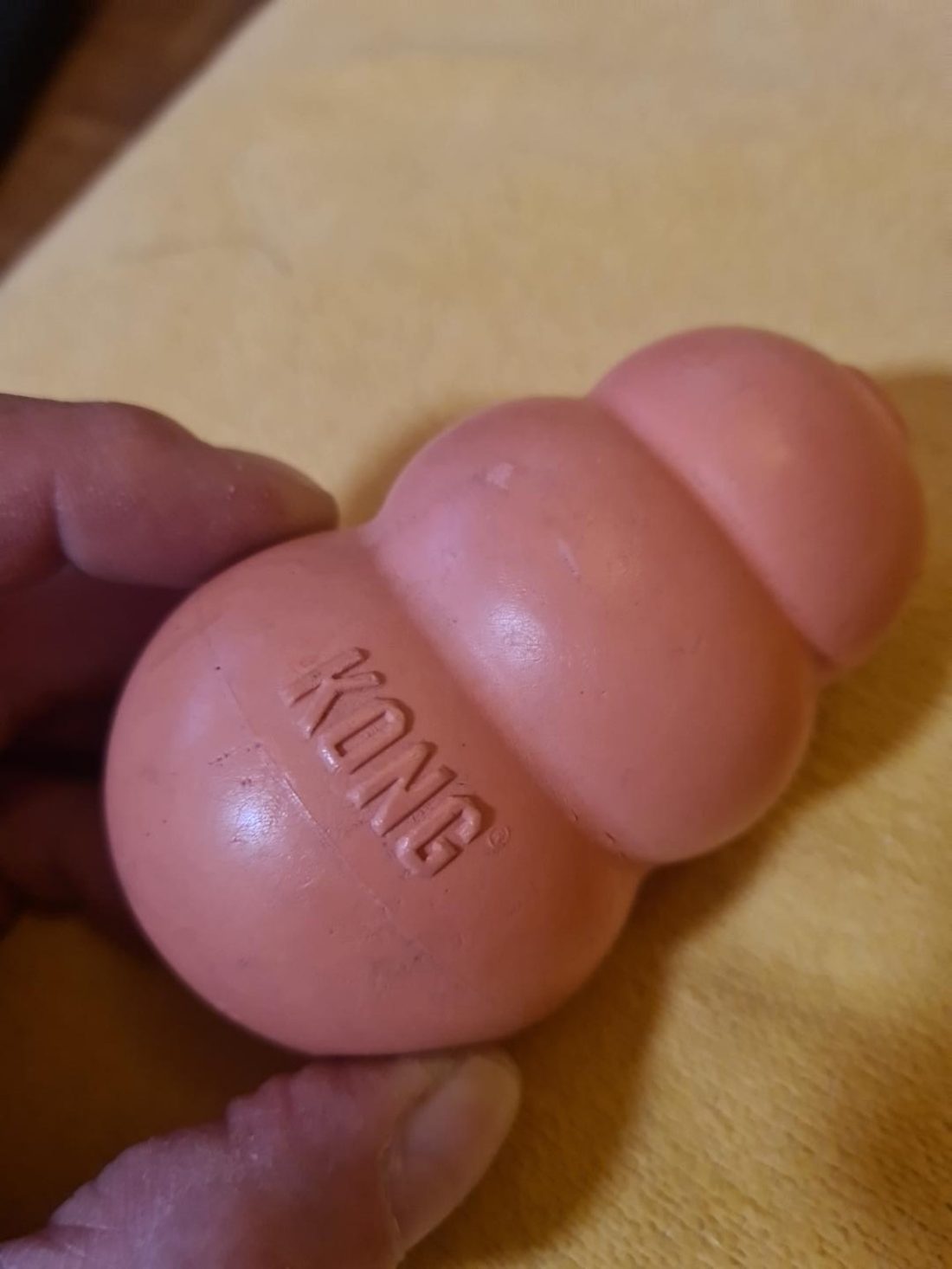 KONG Classic Hundespielzeug